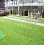 关于高尔夫赛场再起风云：北城赤兔队守住胜果关东火箭队，脚步移动更到位复盘值得玩味的信息-开云综合体育电竞