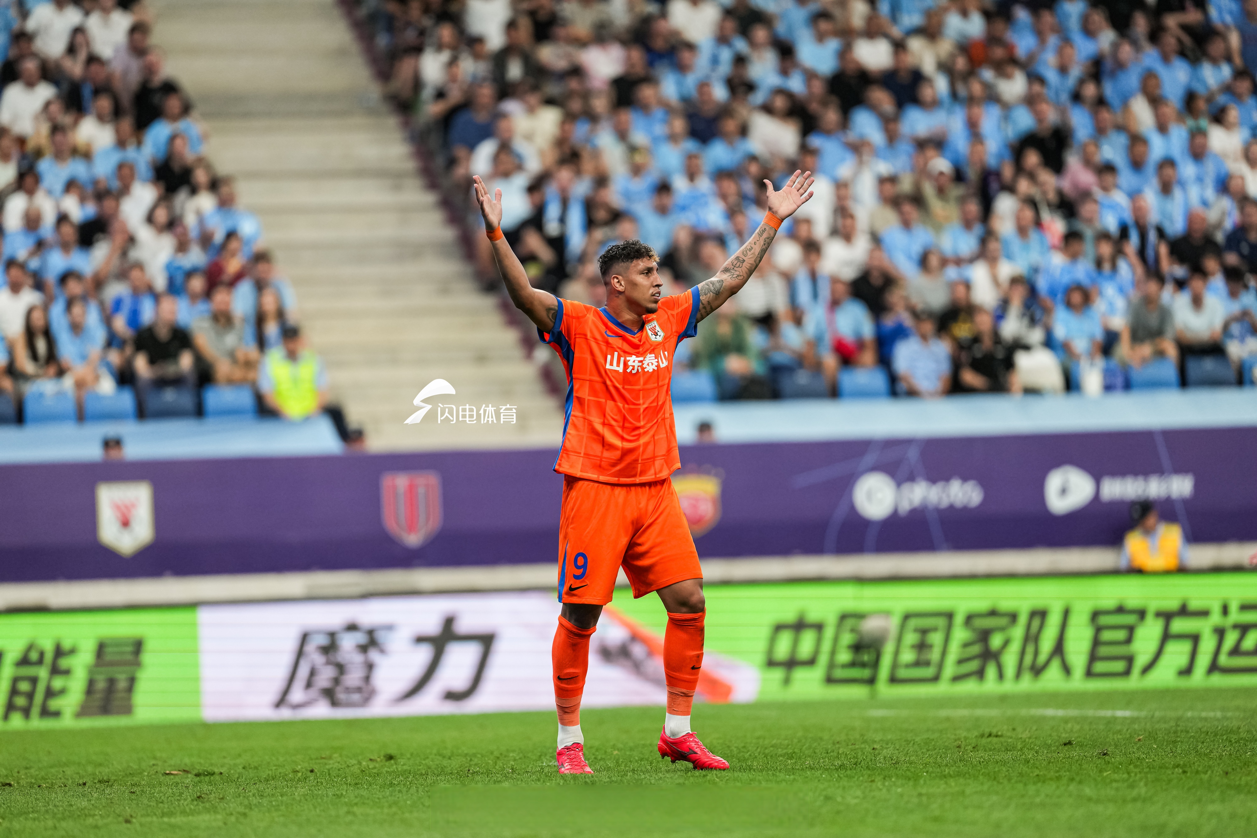 拿破仑登录巴黎的梗-开云综合官网