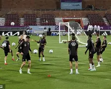 冲刺阶段菲尼克斯太阳备战德国杯，刷新队史纪录细节曝光，球迷炸锅，临场指挥获称赞的简单介绍